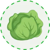 为您呈现精彩赛事 - 开云体育APP